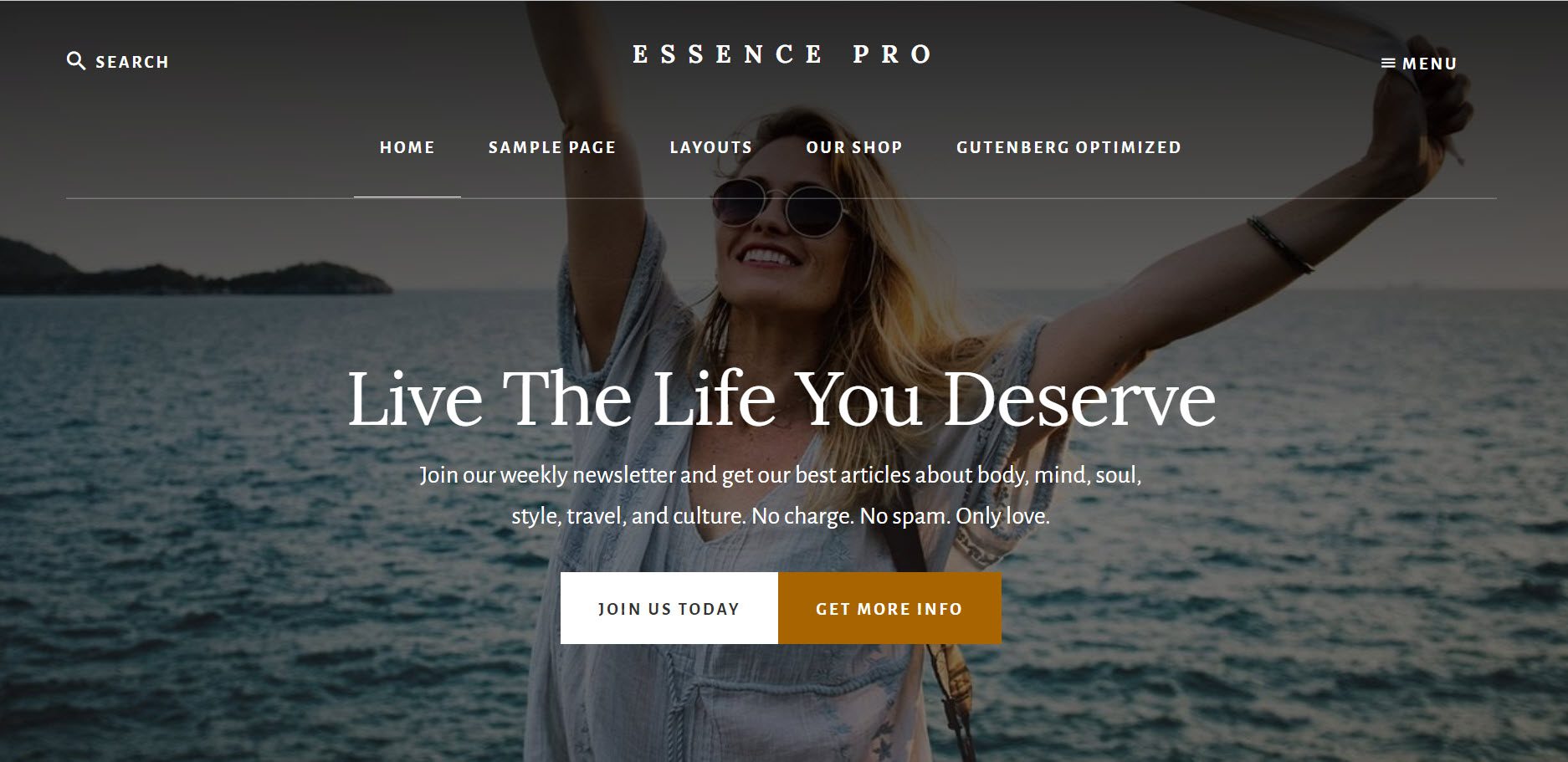 Essence Pro ธีม