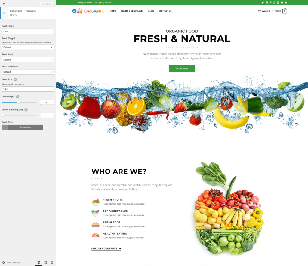 สกรีนช็อตของ WordPress Customizer สำหรับธีม OceanWP WordPress ที่แสดงการใช้ JavaScript