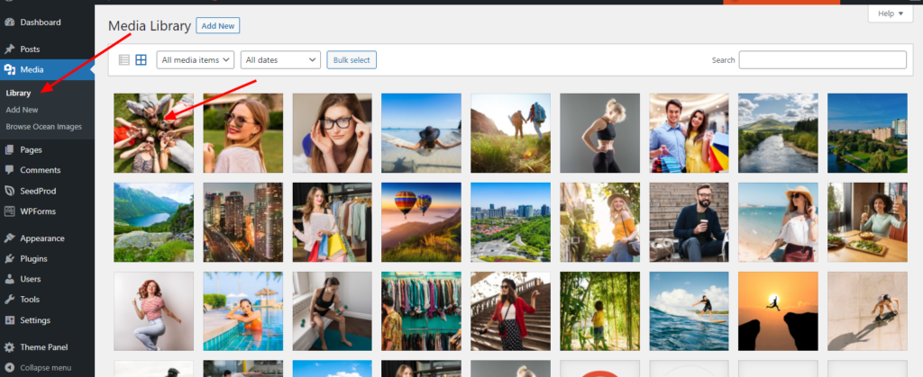 Actualización de OceanWP: vista previa de la nueva importación directa de imágenes y dónde ubicar los archivos de imagen importados