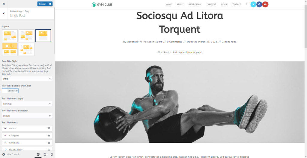 Actualización de OceanWP: vista previa del nuevo estilo de título de publicación de blog de introducción