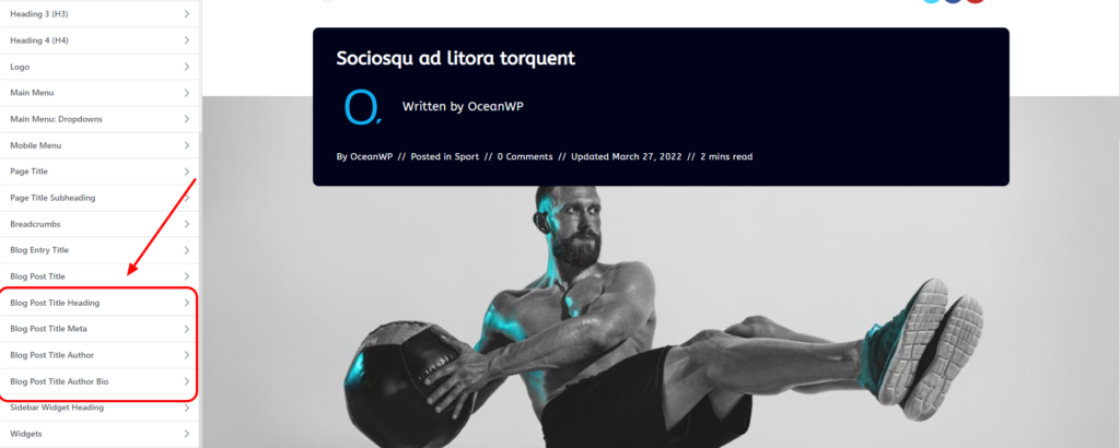 Actualización de OceanWP: vista previa de la nueva configuración de tipografía para los nuevos estilos de título de publicación