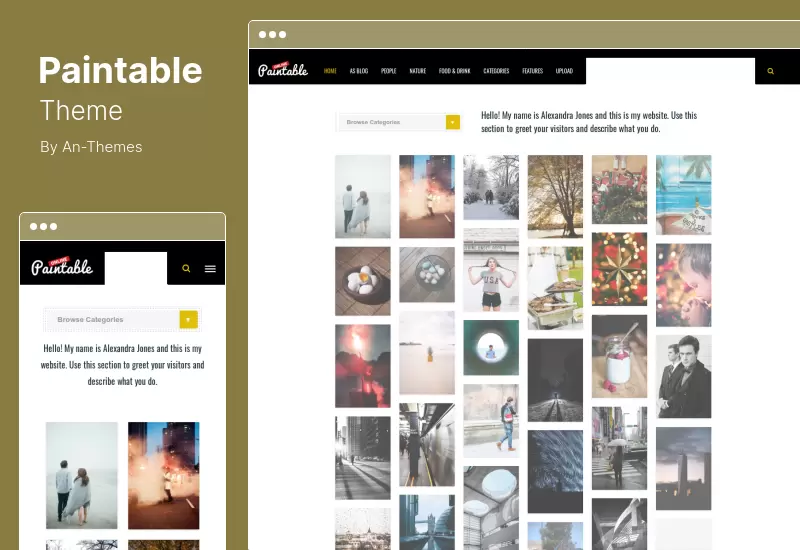 Paintable Theme - บล็อกการถ่ายภาพ WordPress Theme