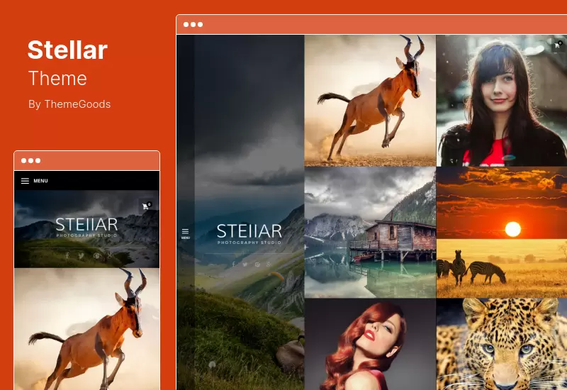 Stellar Theme - การถ่ายภาพ WordPress Theme