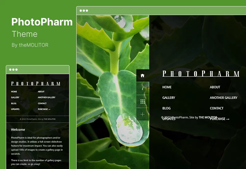 ธีม PhotoPharm - การถ่ายภาพระดับพรีเมียมและบล็อก WordPress Theme
