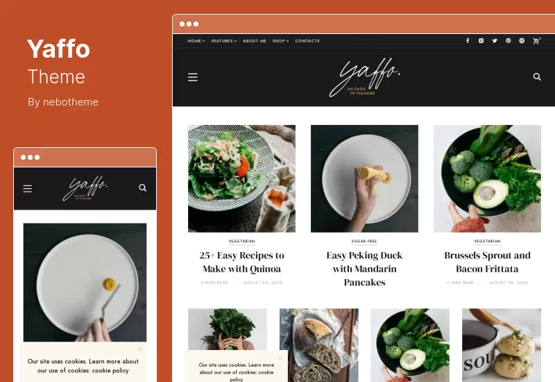 ธีม Yaffo - บล็อกส่วนตัวสำหรับไลฟ์สไตล์ของ WordPress ธีม
