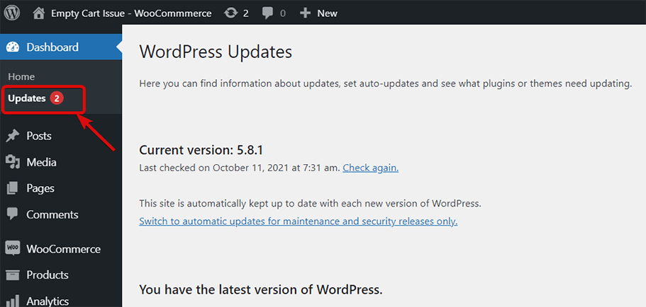檢查 WordPress 和 wooCommerce 是否需要更新