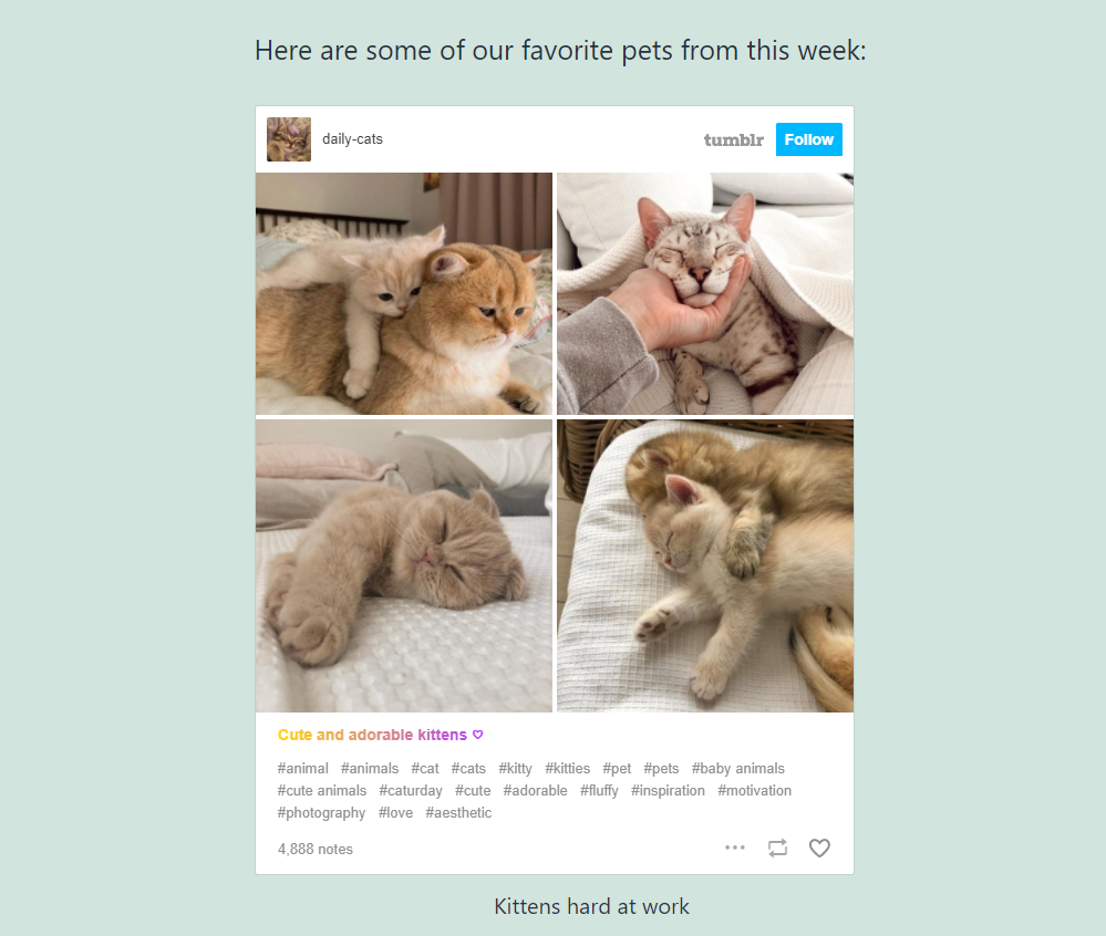 Contoh frontend dari blok embed Tumblr