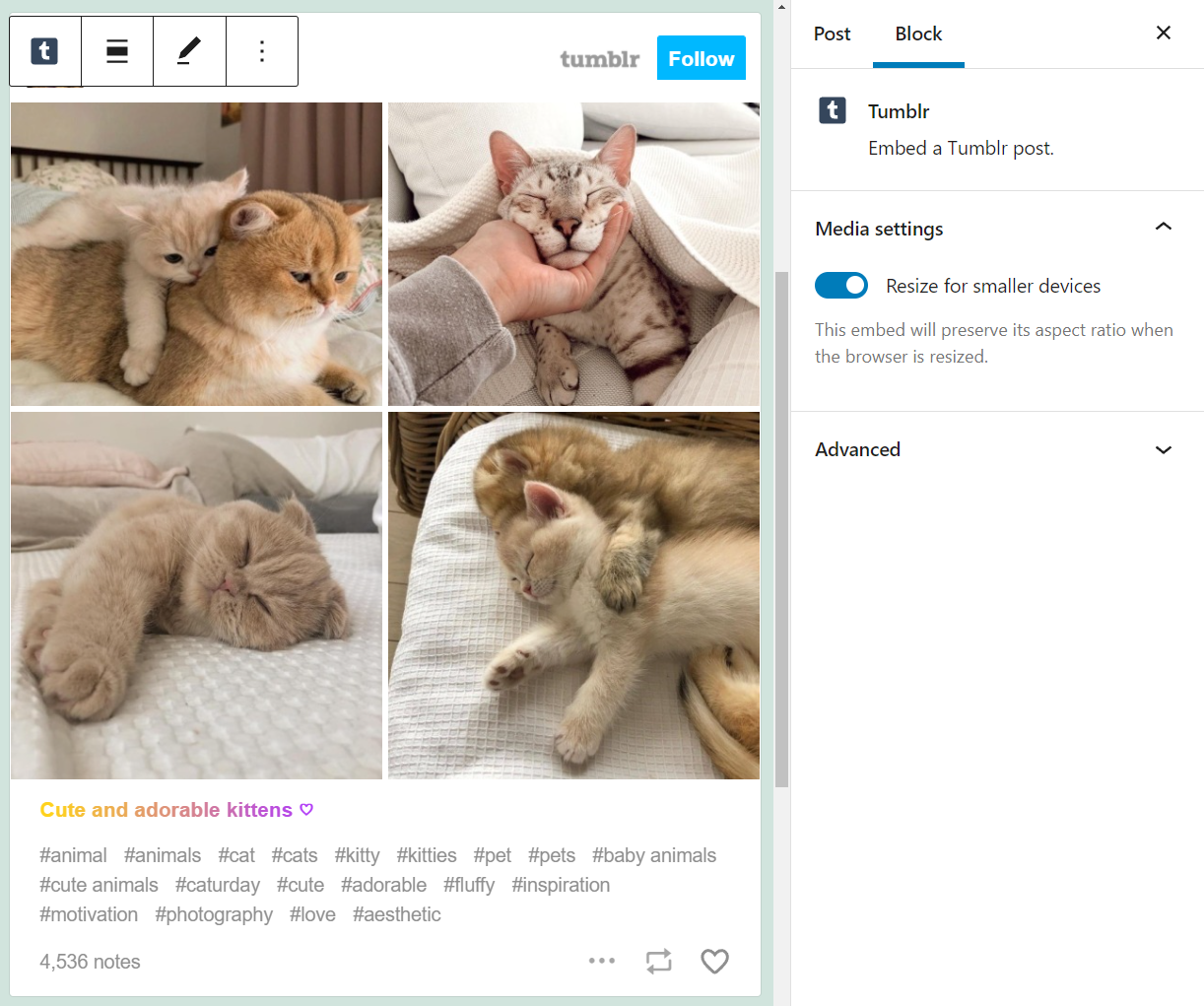 Posting Tumblr yang disematkan di WordPress