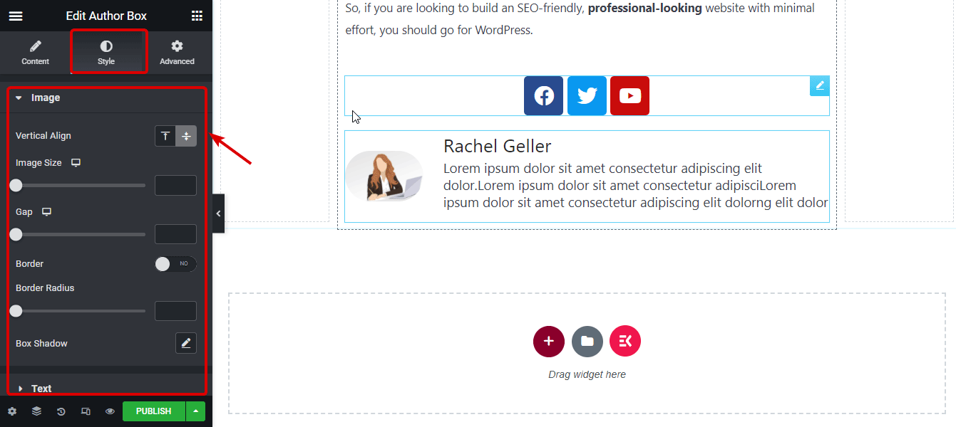 Impostazioni dello stile del widget della casella dell'autore di Elementor