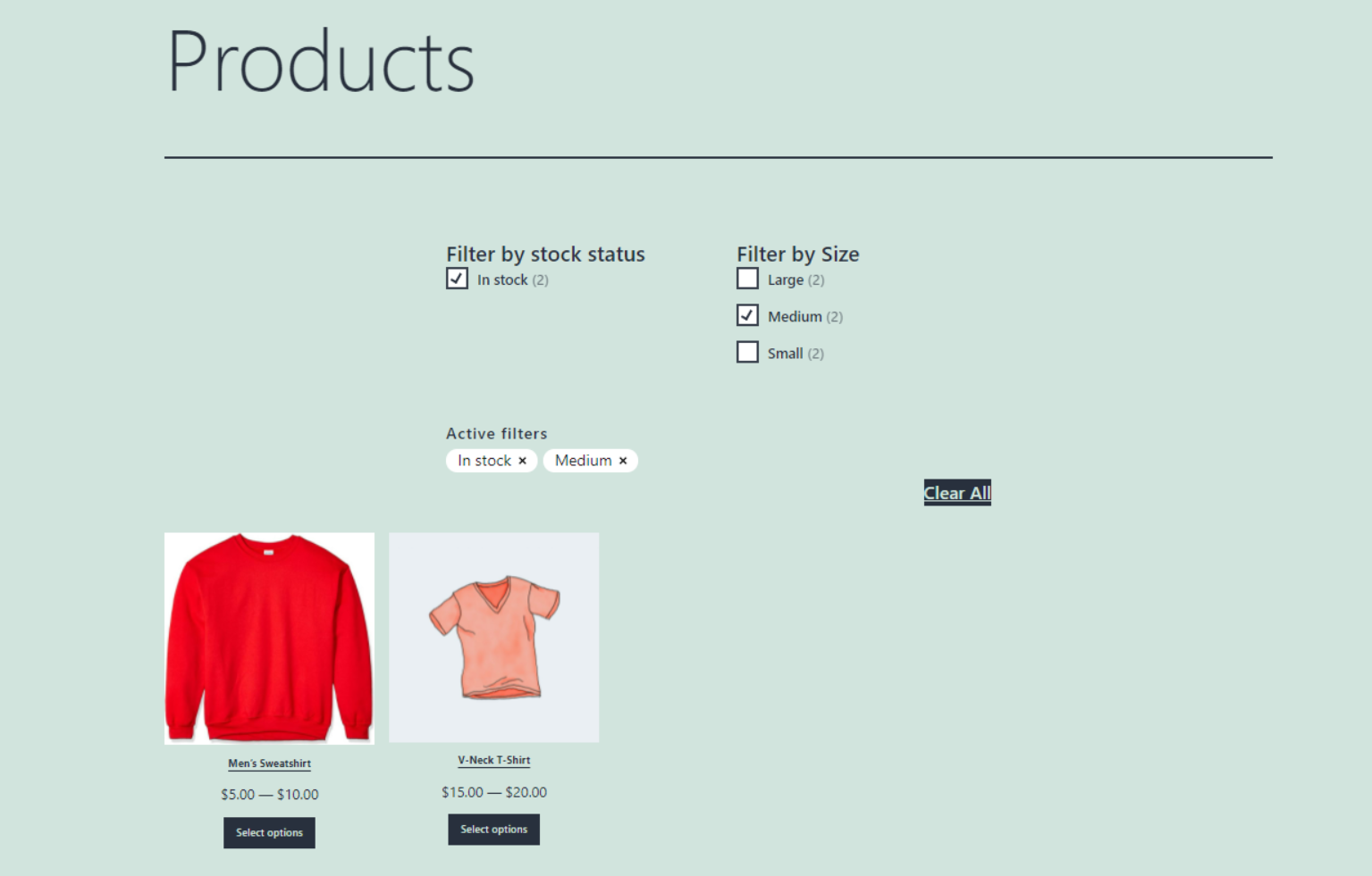 필터가 적용된 WooCommerce 상점.