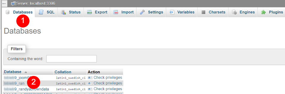 Accesso alle revisioni dei post con phpMyAdmin
