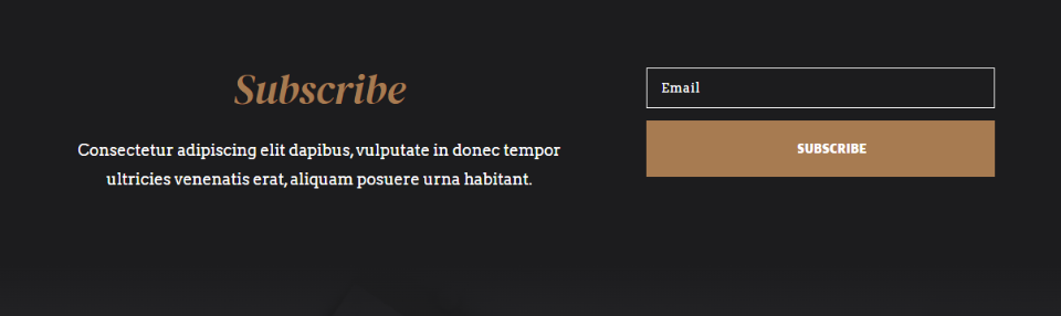 reCAPTCHA sul Front End