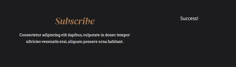 กำหนดรูปแบบข้อความความสำเร็จของ Divi