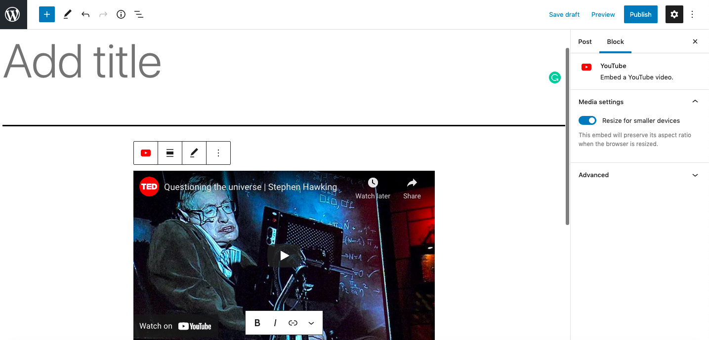 WordPress YouTube 塊