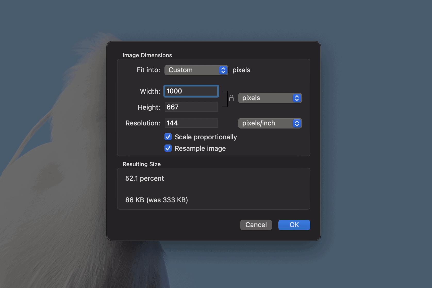 Configurando as dimensões da imagem no Apple Preview.