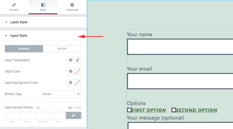 Imput style settings Contact Form