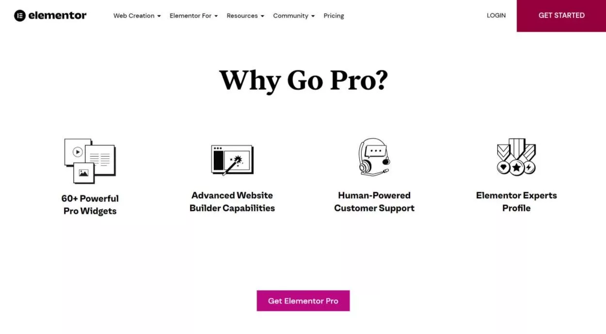 Elementor Pro