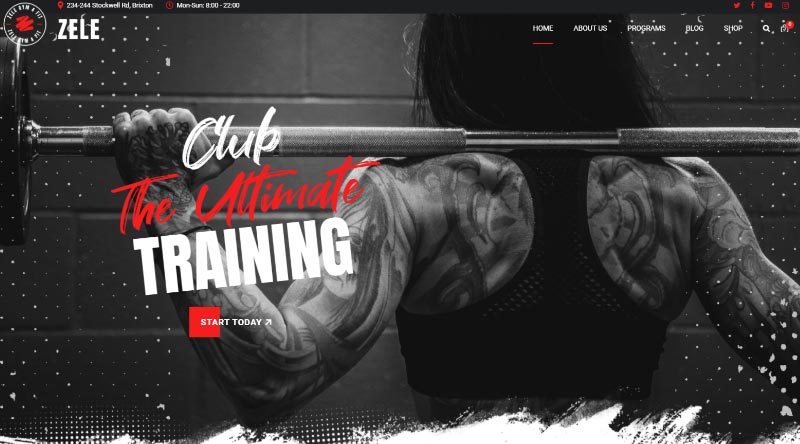 8 poderosos temas de WordPress para boxeo y artes marciales 9 8 Powerful Boxing and Martial Arts WordPress Themes 2