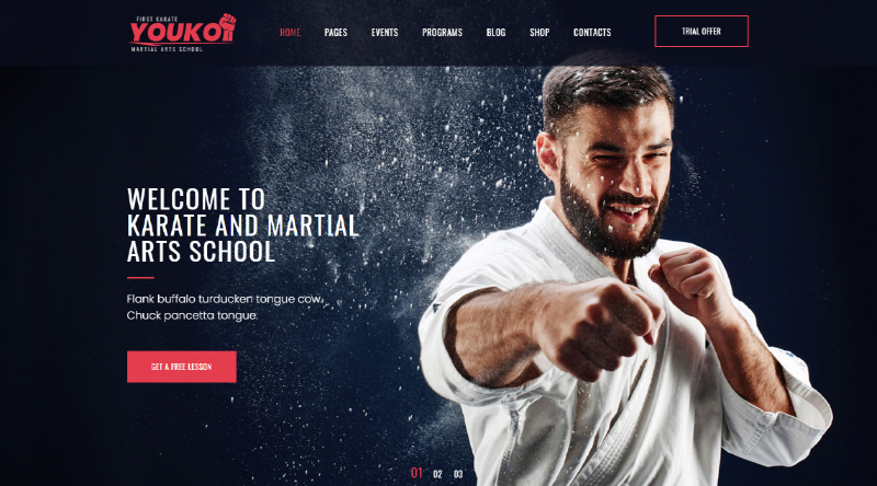 8 poderosos temas de WordPress para boxeo y artes marciales 4 Youko WP Theme
