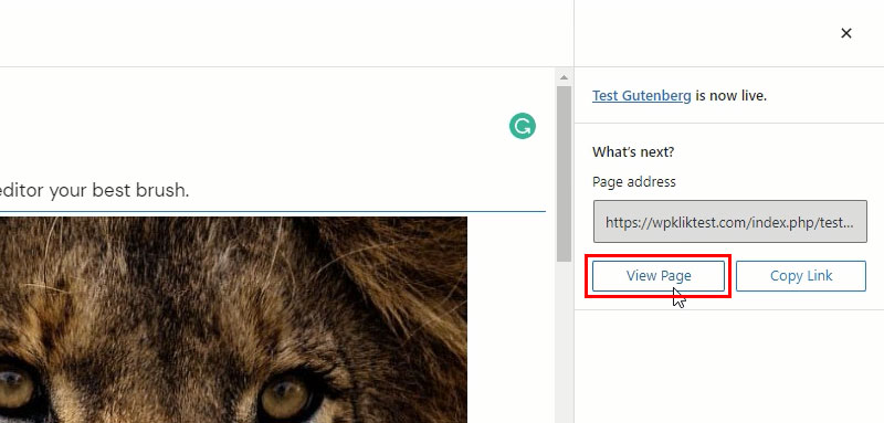 View Gutenberg page
