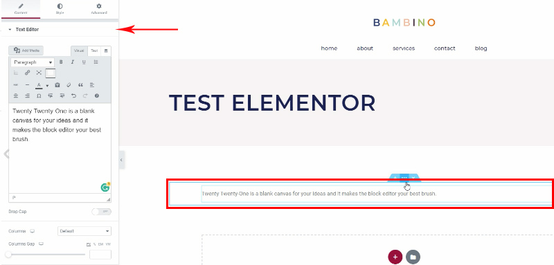 Elementor widget example