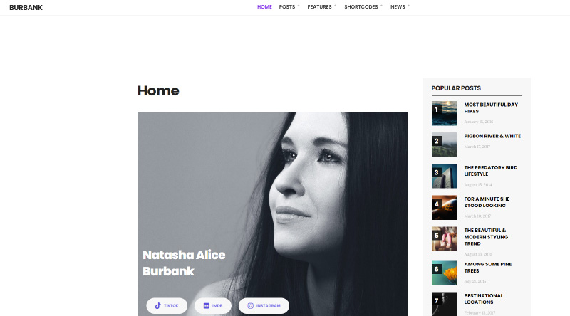 10 temi WordPress di intrattenimento indimenticabili 8 Burbank WordPress Theme