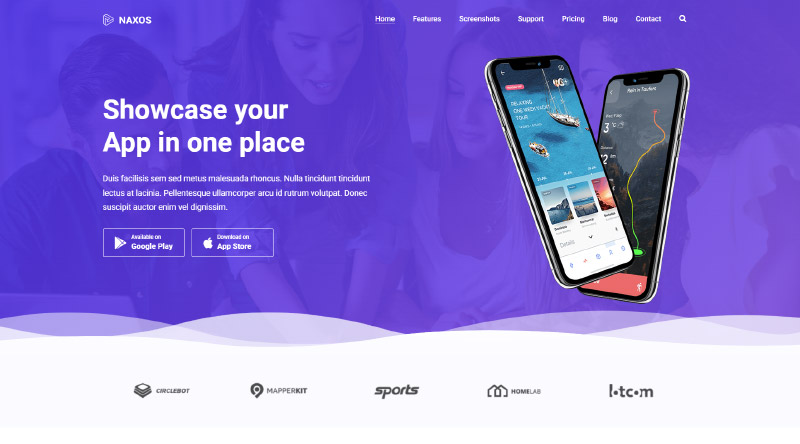 10 самых привлекательных тем WordPress для приложений 9 Naxos WordPress Theme