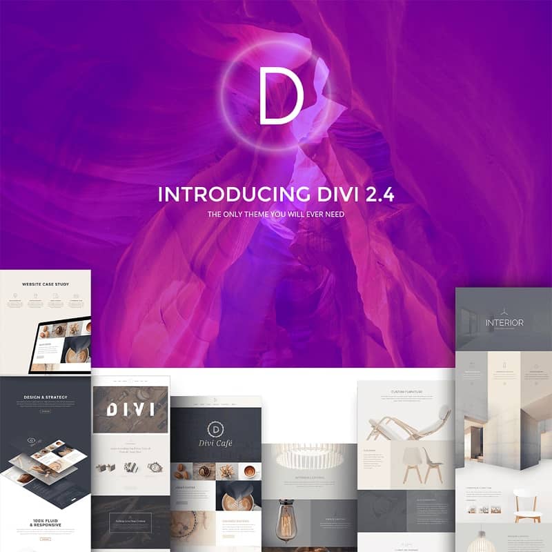 divi-2016年の最高のワードプレステーマ