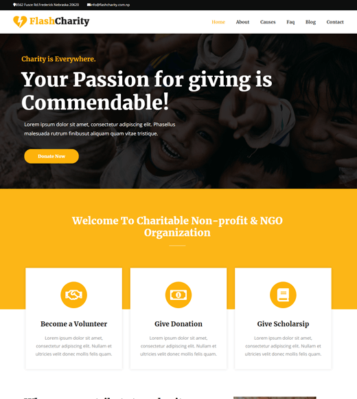 Flash 非盈利 WordPress 主題