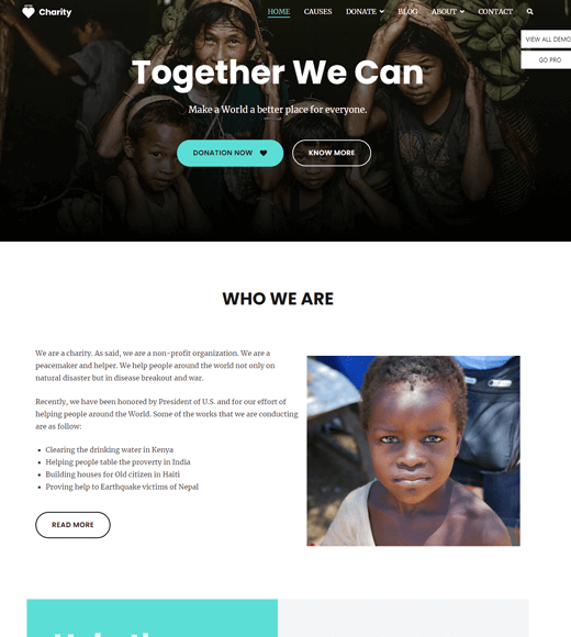 Zakra 非營利和慈善 WordPress 主題