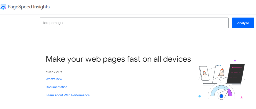 PageSpeed Insights 是一款免費的 WordPress 性能審計工具。
