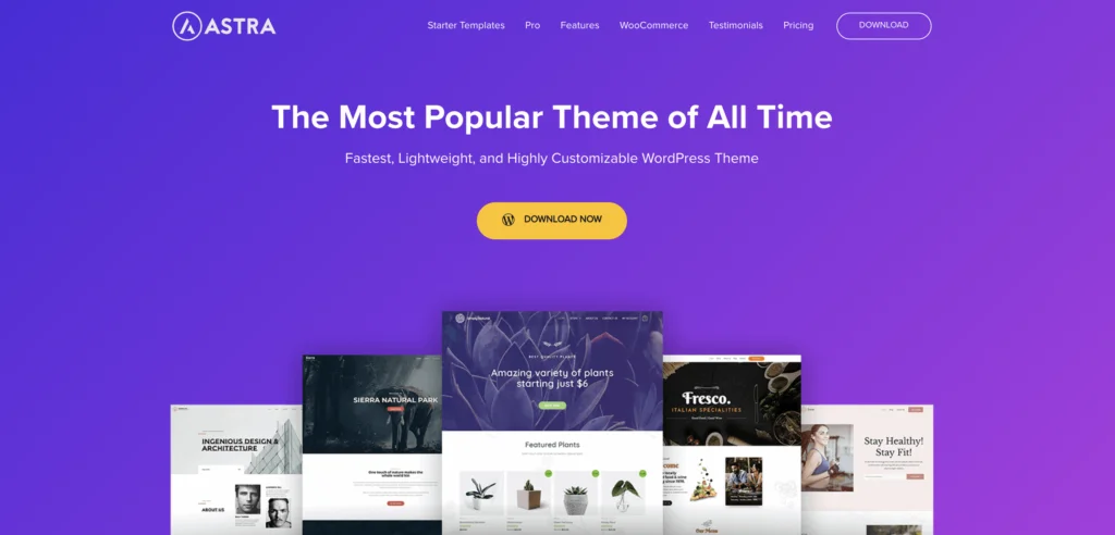 Tema wordpress premium Astra