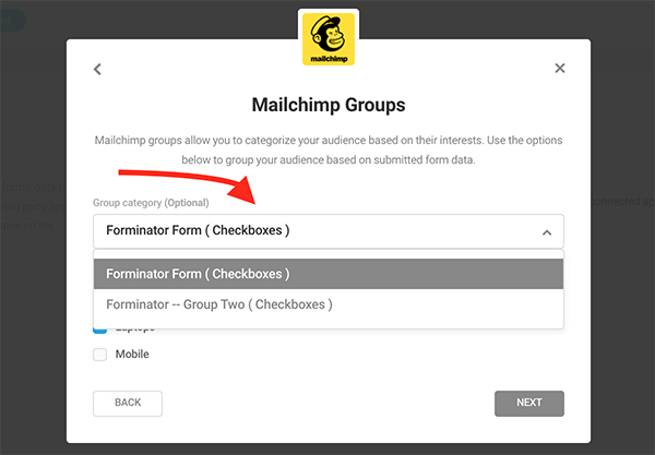 Mailchimp Grupları bölümü.
