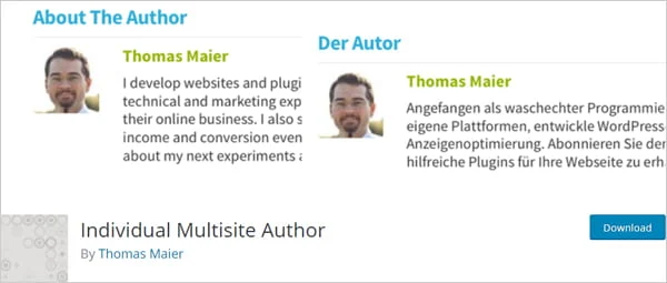 Plugin WordPress individual pentru autor multisite.