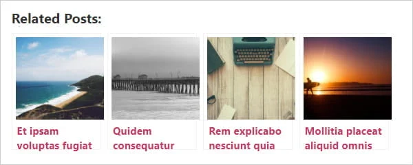 또 다른 관련 게시물 플러그인