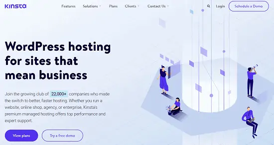 Kinsta hosting