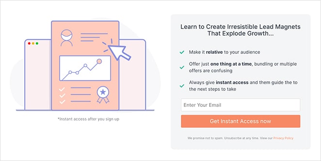 limit-form-fields-min - SeedProd landing page conversion rates form fields