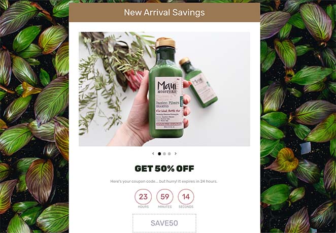 쿠폰 코드 방문 페이지 예 - SeedProd increase landing page conversion rates with a countdown timer