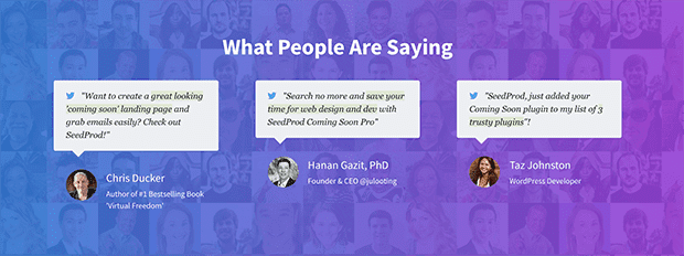 방문 페이지-평가-최소 - SeedProd landing page testimonials to build trust
