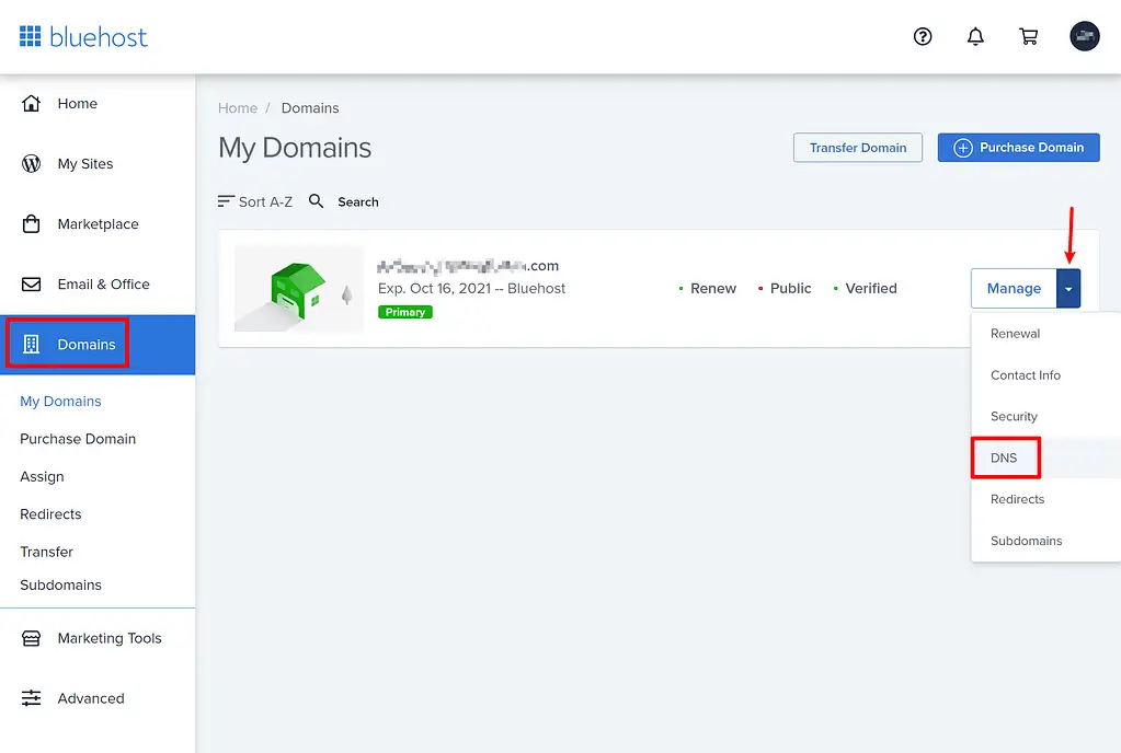 Как открыть настройки DNS на Bluehost