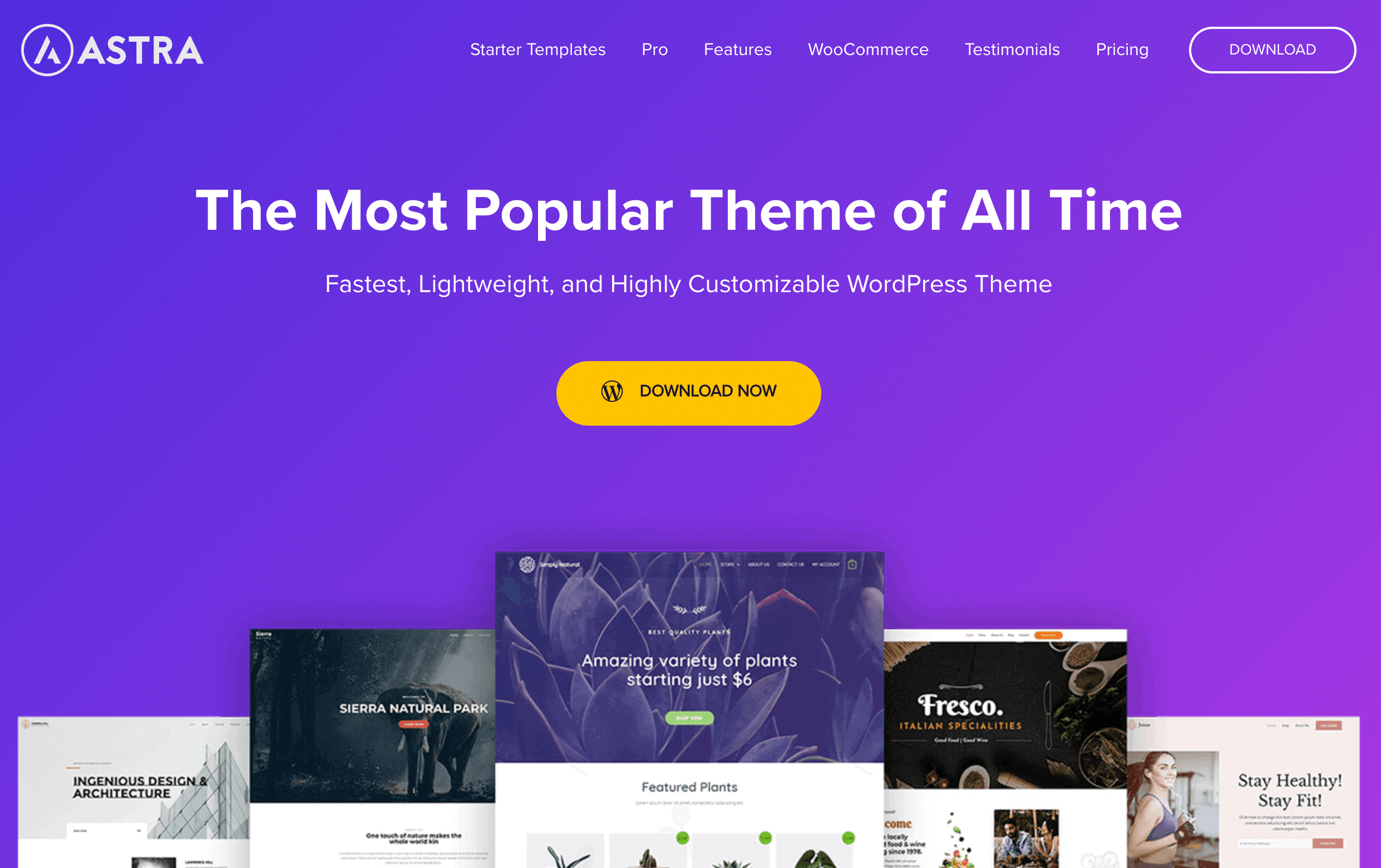 Tema WordPress popular, Astra.