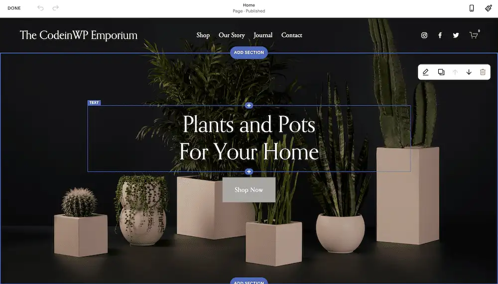 Редактор Squarespace.