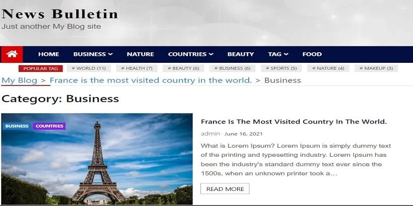 News-Bulletin-Best-Free-Accounting-WordPress-Themes