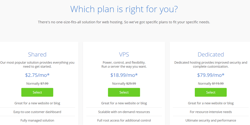 Hosting-Plan