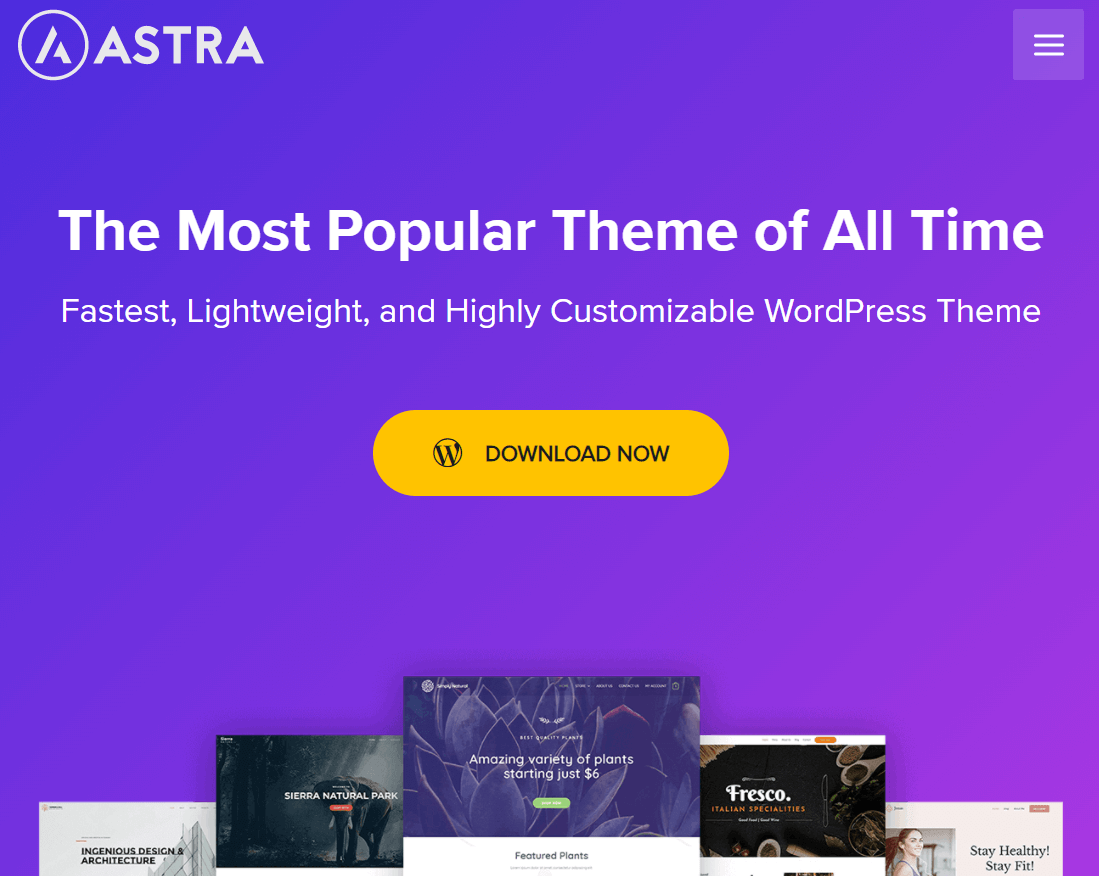 Die 10 besten WordPress-Themes für persönliche Websites (kostenlose Themes) 3 Astra WordPress Theme