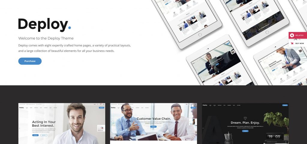 konsultasi tema wordpress
