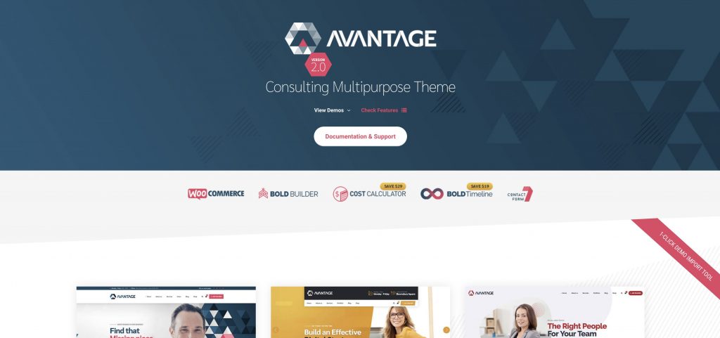 konsultasi tema wordpress