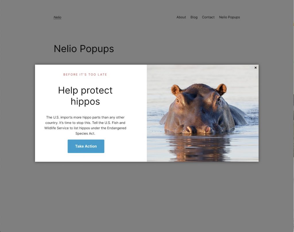 Visualização do popup criado com Nelio Popups
