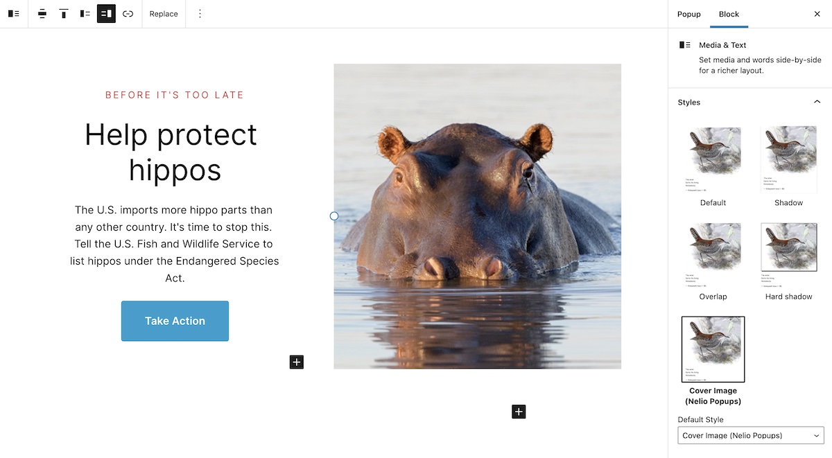 Seleção de imagem de fundo em um bloco de mídia e texto de um pop-up