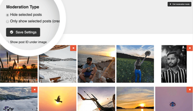 feed de hashtag moderado - IsItWP - Detector de tema WordPress gratuito moderate hashtag feed